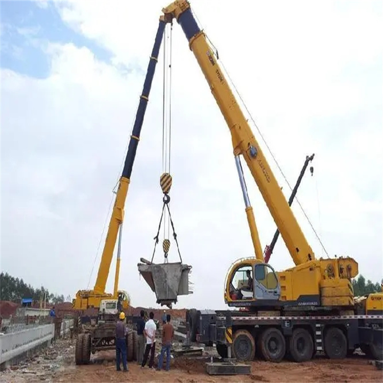 仁和小型吊机出租电话|厂房设备吊装方案|24小时服务覆盖